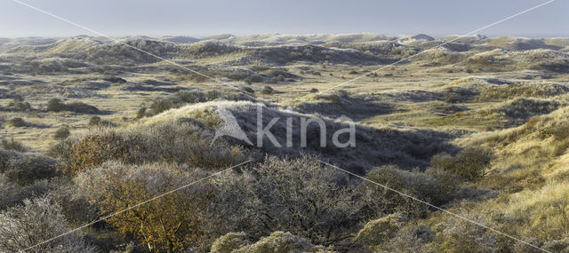 Noordhollands Duinreservaat