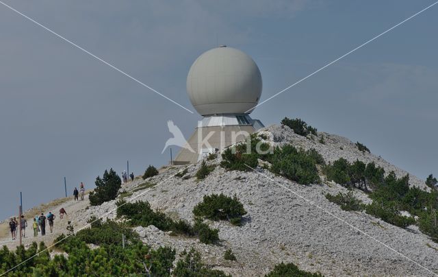 Parc naturel régional du Mont Ventoux