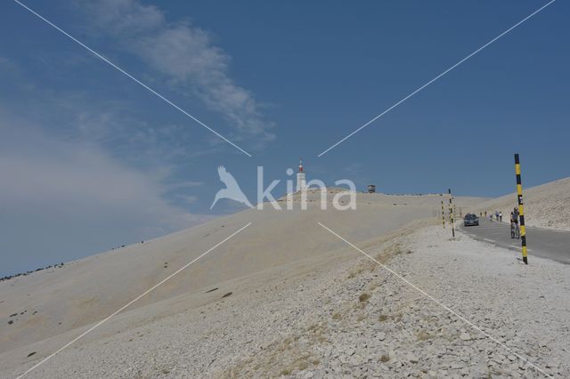 Parc naturel régional du Mont Ventoux