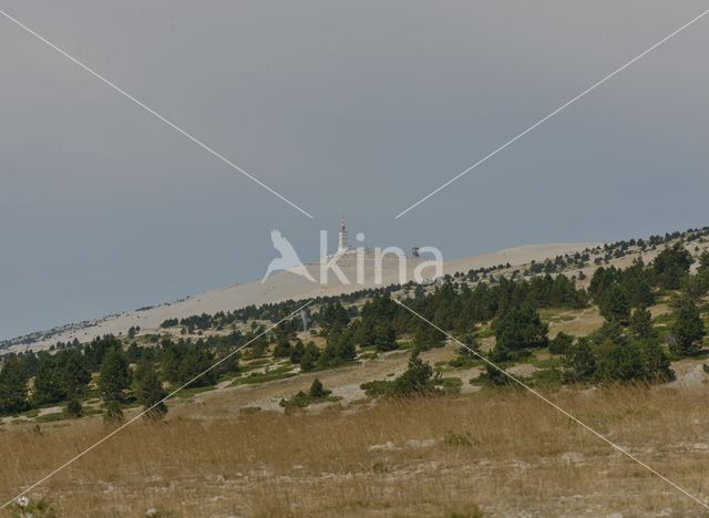 Parc naturel régional du Mont Ventoux