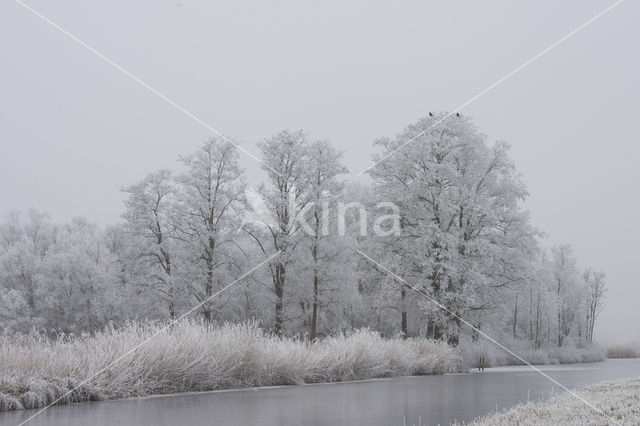 Nieuwkoopse Plassen