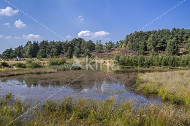 Nationaal Park Hoge Kempen