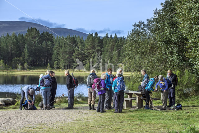 Cairngorms National Park