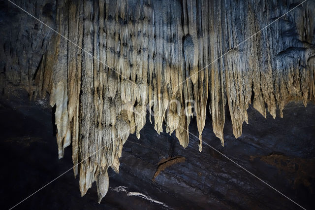 Caves of Han-sur-Lesse