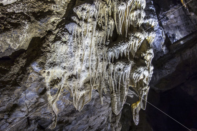 Caves of Han-sur-Lesse