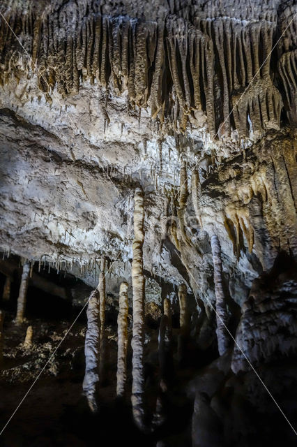 Caves of Han-sur-Lesse