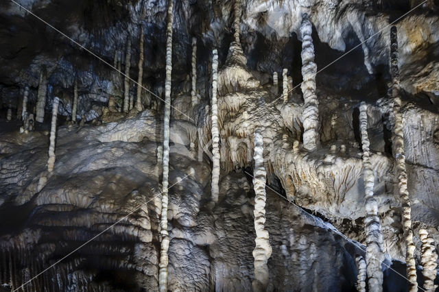 Caves of Han-sur-Lesse