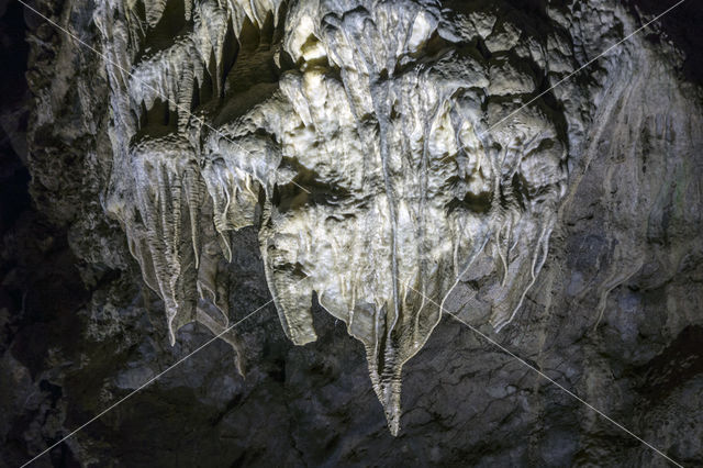 Caves of Han-sur-Lesse