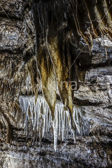 Caves of Han-sur-Lesse