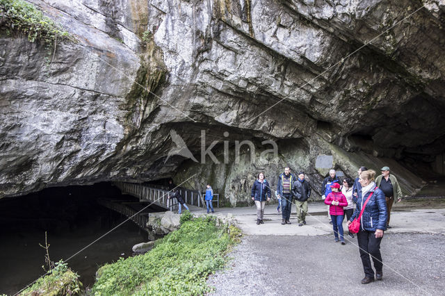 Caves of Han-sur-Lesse