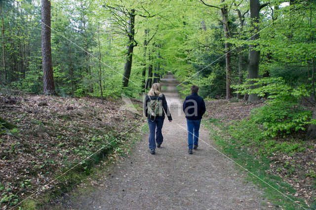 Hof van Dieren