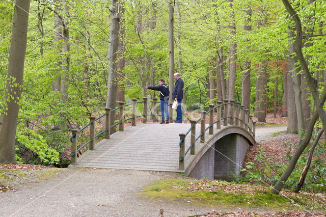 arch bridge