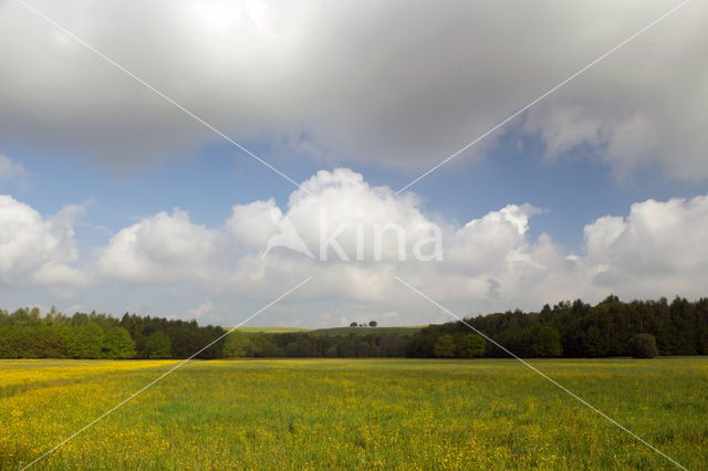 Beekdal Oude Diep Het Drentse Landschap