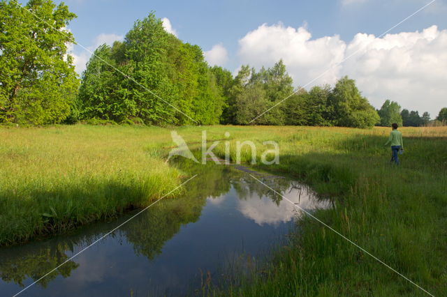 Beekdal Oude Diep Het Drentse Landschap