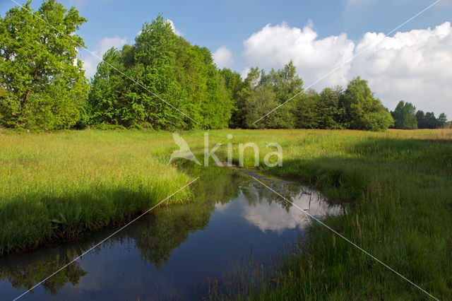 Beekdal Oude Diep Het Drentse Landschap