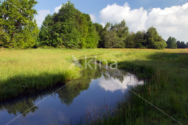 Beekdal Oude Diep Het Drentse Landschap