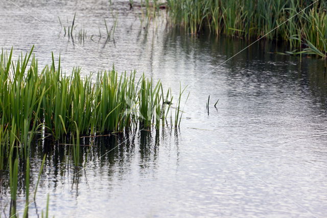 Beekdal Oude Diep Het Drentse Landschap