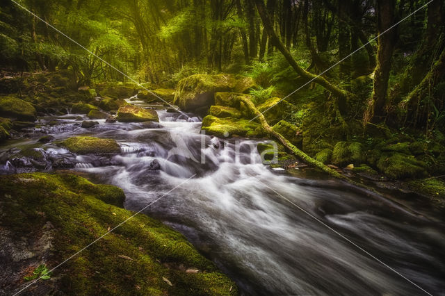 Golitha Falls