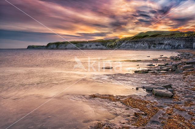 Kimmeridge Bay