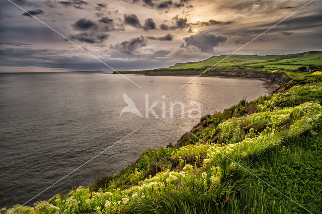 Kimmeridge Bay