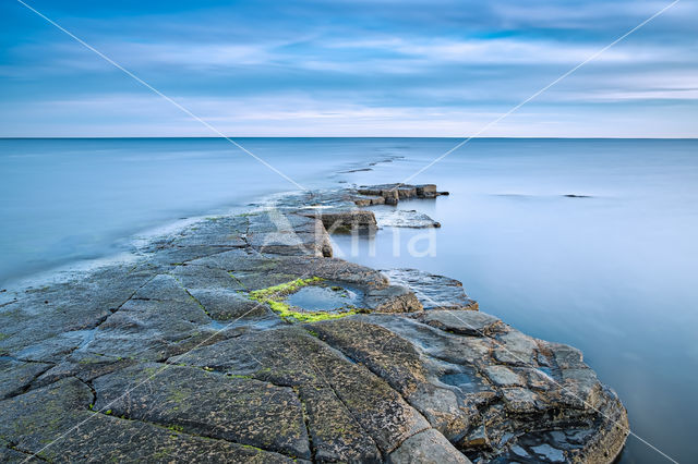 Kimmeridge Bay