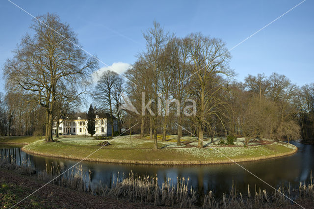 Gewoon sneeuwklokje (Galanthus nivalis)