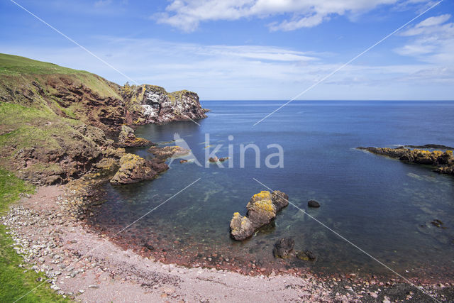 St Abbs Head