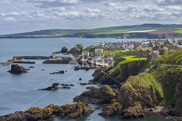 St Abbs Head