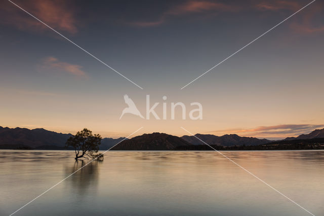 lake Wanaka