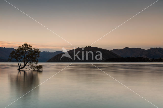 lake Wanaka