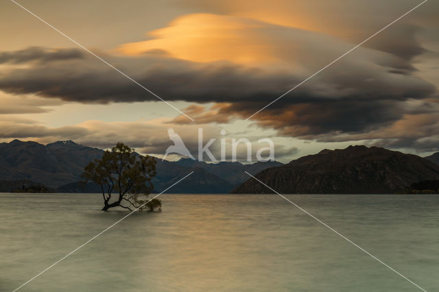 lake Wanaka