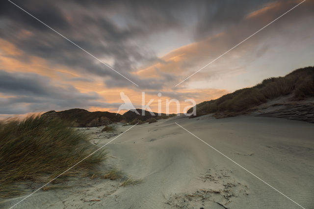 Wharariki Beach