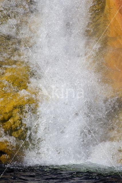 Yellowstone national park