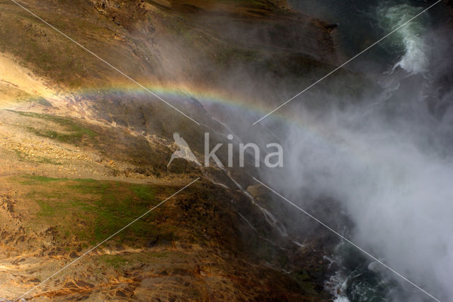 Yellowstone national park