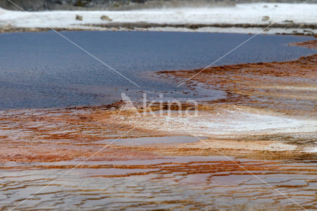 Yellowstone national park