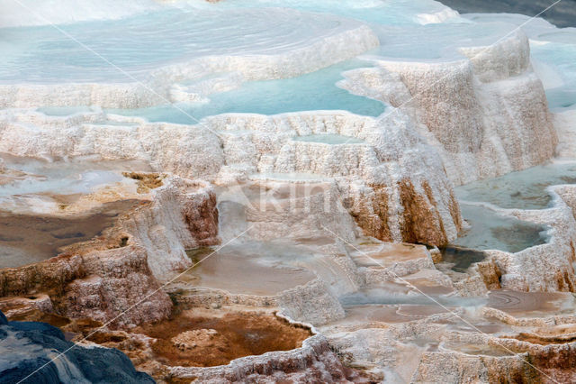 Yellowstone national park