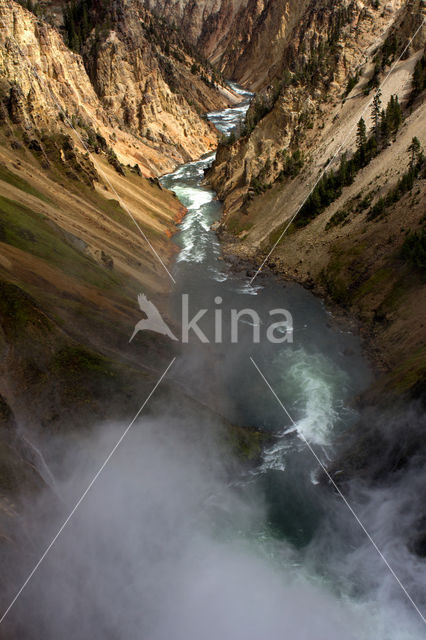 Yellowstone national park