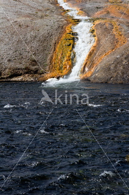 Yellowstone national park