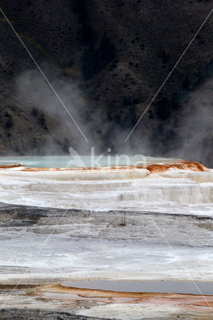 Yellowstone national park