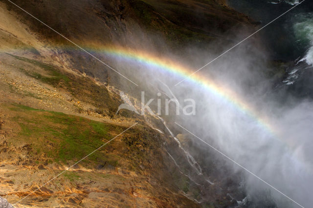 Yellowstone national park