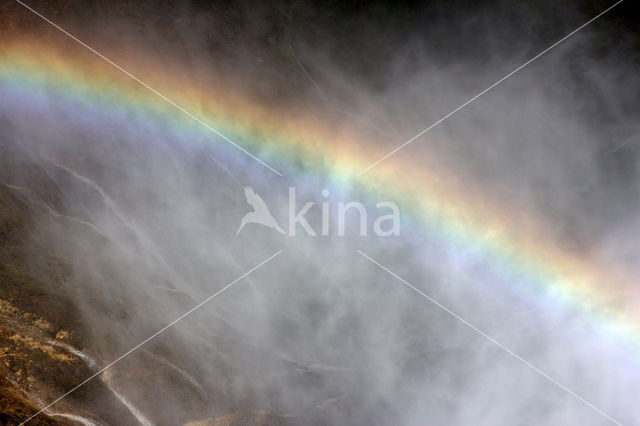 Yellowstone national park