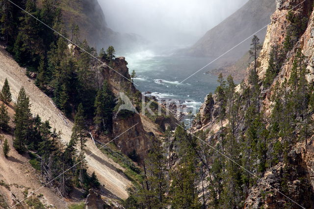 Yellowstone National Park