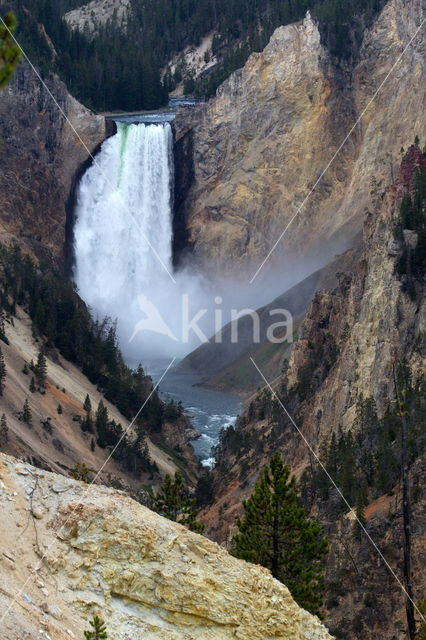 Yellowstone national park