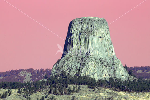 Devils Tower