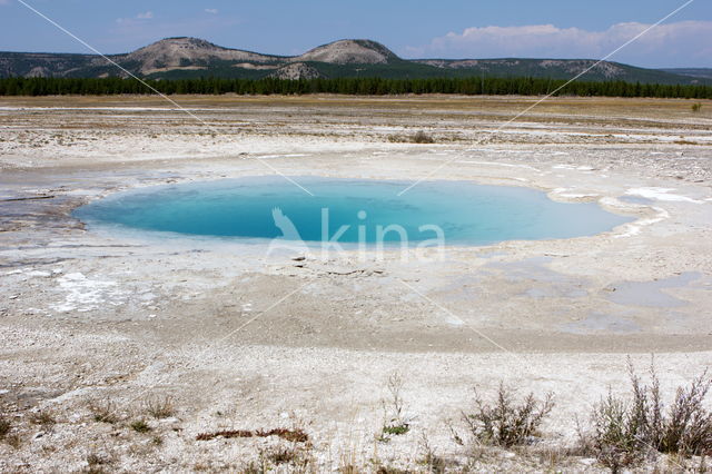 Yellowstone national park