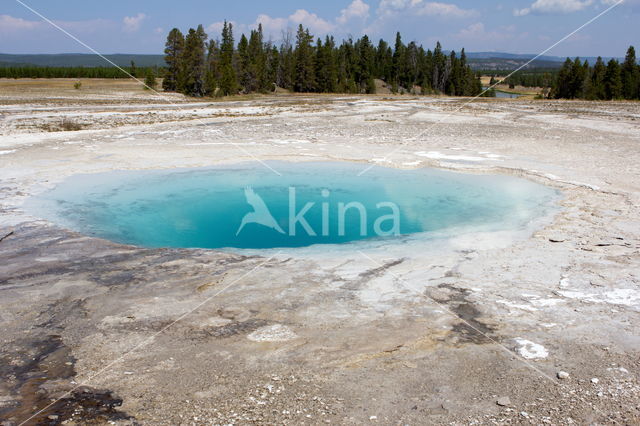 Yellowstone national park