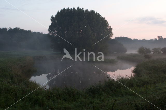 Natuurpark Lelystad