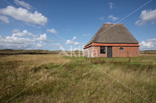 National Park Duinen van Texel