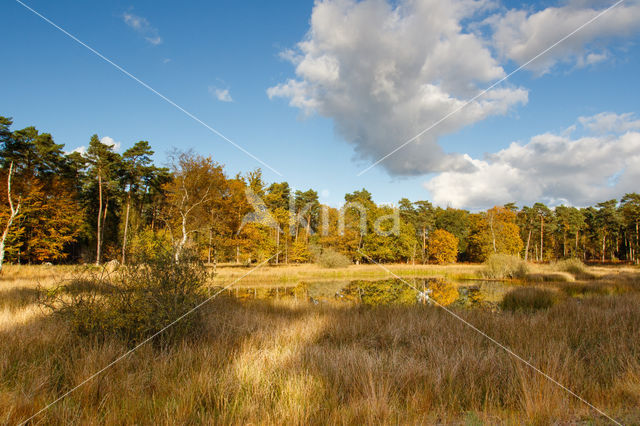 Cross-border park Maas-Swalm-Nette