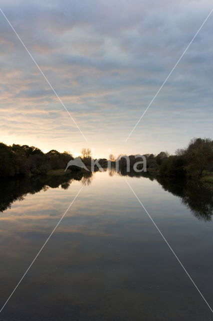 Amsterdamse waterleidingduinen